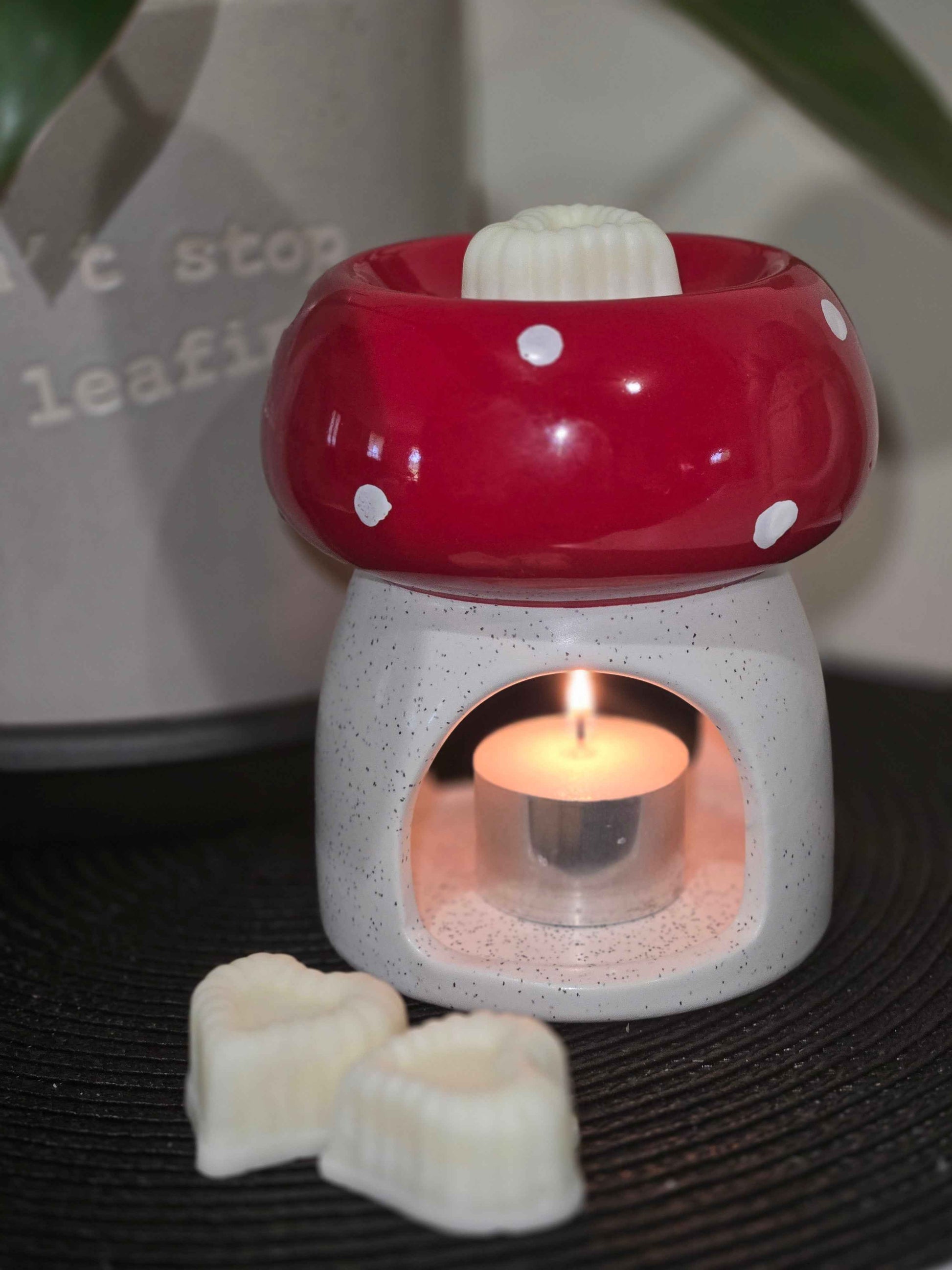 Wax Melts- Eco friendly Home Fragrance